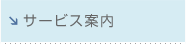 �T�[�r�X�ē�